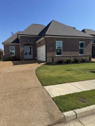 9738 RYDER SPRINGS, Cordova, TN 38018