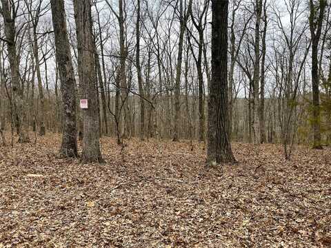 23 Turkey Trail, New Florence, MO 63363
