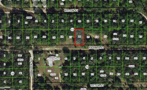 2006 FALKNER STREET, INVERNESS, FL 34453