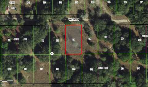 2407 TYLER STREET, INVERNESS, FL 34453