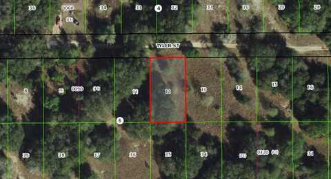 2409 TYLER STREET, INVERNESS, FL 34453