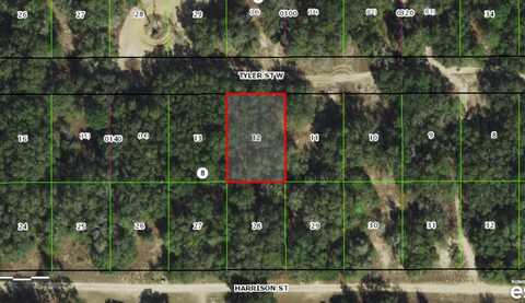 2909 TYLER STREET, INVERNESS, FL 34453