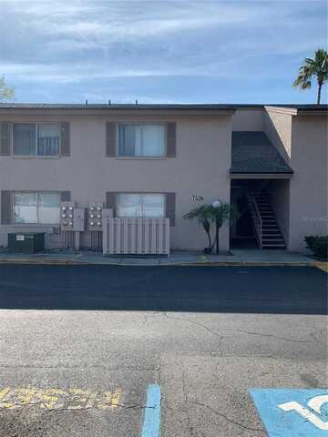 7526 NEEDLE LEAF PLACE, TAMPA, FL 33617