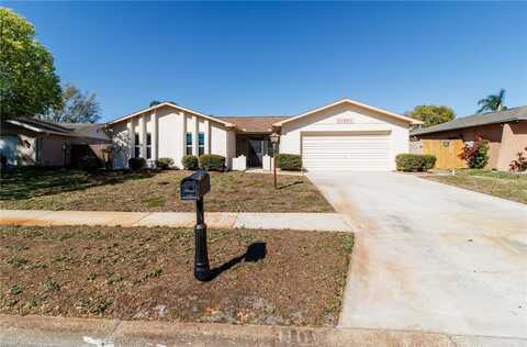 11001 PEPPERTREE LANE, PORT RICHEY, FL 34668