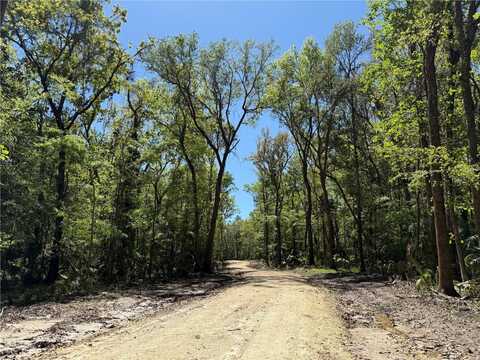 43ac NW 193RD ST, REDDICK, FL 32686