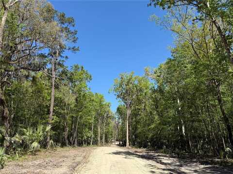 44 NW 193RD ST, REDDICK, FL 32686