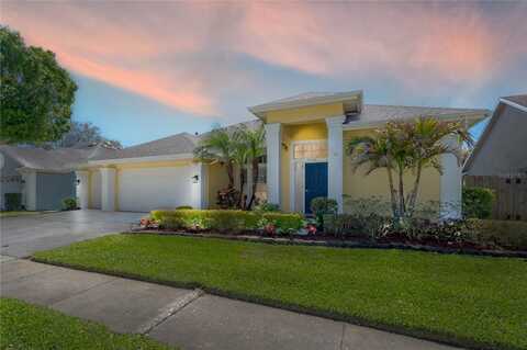 12406 BRISTOL COMMONS CIRCLE, TAMPA, FL 33626