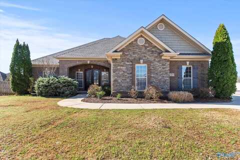 25748 Winterwood Drive, Madison, AL 35756