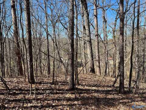 27 Greenbriar Road, Gadsden, AL 35901