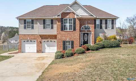 2410 Cedar Ridge Circle, Hokes Bluff, AL 35903