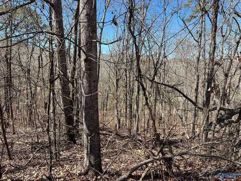25 Greenbriar Road, Gadsden, AL 35901