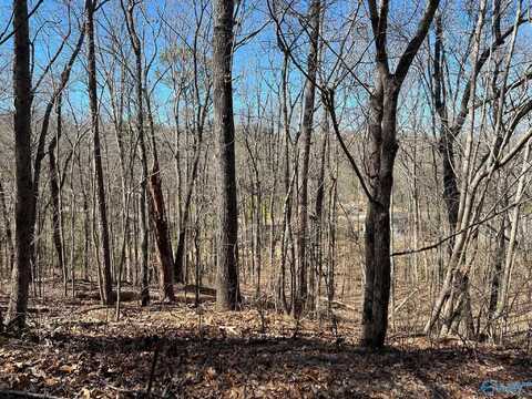 26 Greenbriar Road, Gadsden, AL 35901