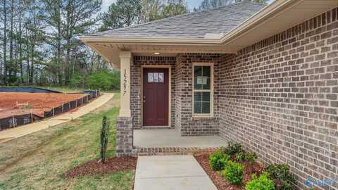 15271 Lapwing Cove, Athens, AL 35611