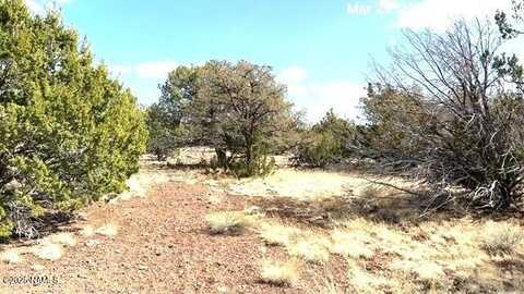 12770 N Kendall Aspen Way, Williams, AZ 86046