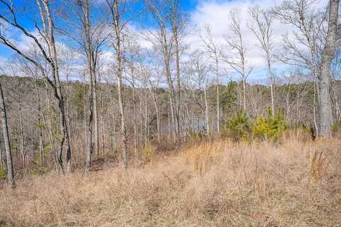Lot 163 Lecroy Drive, Ellijay, GA 30540