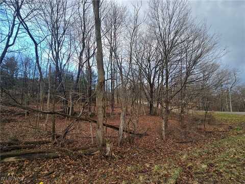 Apple Valley Drive, Howard, OH 43028