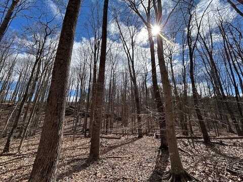 TBD Mt. Tabor Road, Blacksburg, VA 24060