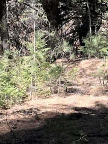 22 Apache Canyon DR, High Rolls Mountain Park, NM 88325