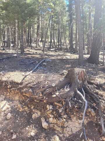 5 Forest View Rd, Cloudcroft, NM 88317
