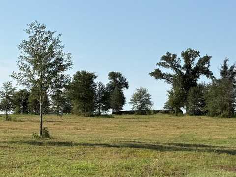 Tbd County Road 2425, Como, TX 75431