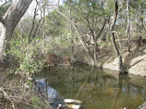 122.64 Acres Tbd Fm-116, Gatesville, TX 76528