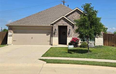 10905 Los Alamos Drive, Aubrey, TX 76227