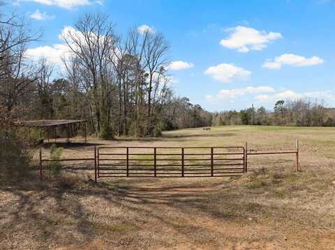 Tbd County Road 2737, Naples, TX 75568
