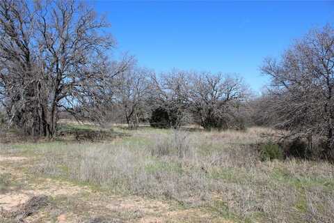 286 Oak Shadow Lane, Montague, TX 76251