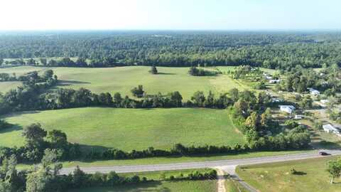 XX Blue Springs Rd, Marianna, FL 32446
