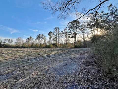 3573 Pond Town Rd, Brunson, SC 29911