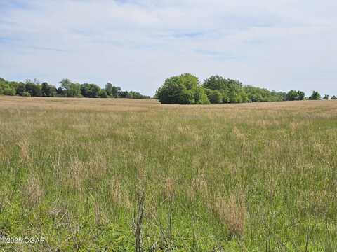 37 Acres Hwy DD & Crane Drive Highway, Seneca, MO 64865