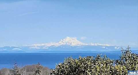 313 Chickadee Lane, Sequim, WA 98382