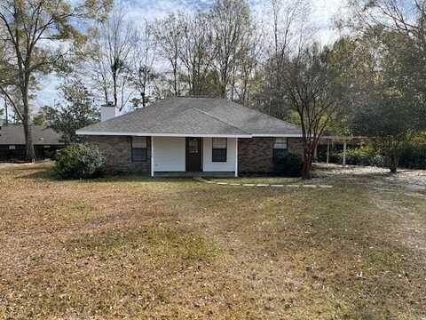117 Tanglewood Drive, Carriere, MS 39426