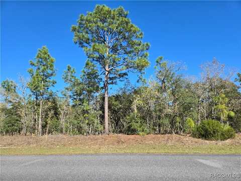 6499 N Pembroke Terrace, Citrus Springs, FL 34434