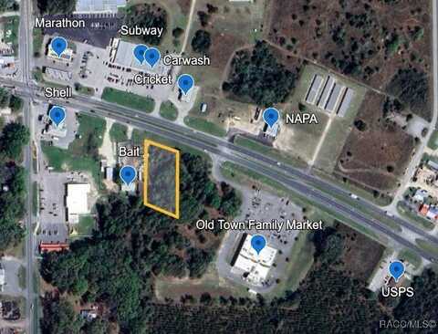 Tbd US HWY 19, Old Town, FL 32680