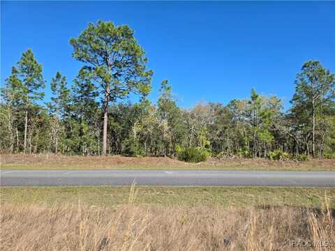 6493 N Pembroke Terrace, Citrus Springs, FL 34434