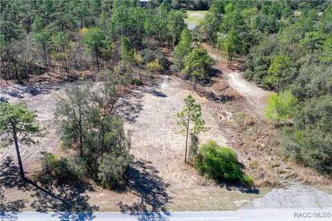 3016 Pine Ridge Boulevard W, Beverly Hills, FL 34465