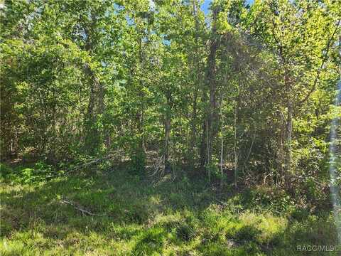 131 S Tighe, Inverness, FL 34443