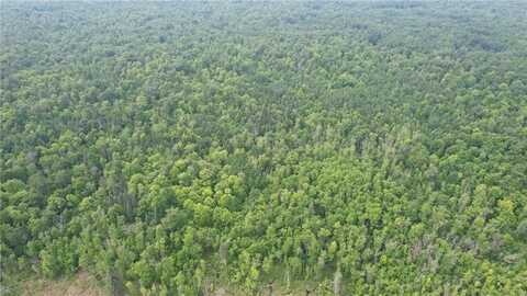 Parcel C Ticonderoga Trail, Hackensack, MN 56452