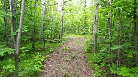 Parcel D Ticonderoga Trail, Hackensack, MN 56452
