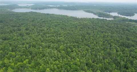 Parcel B Ticonderoga Trail, Hackensack, MN 56452
