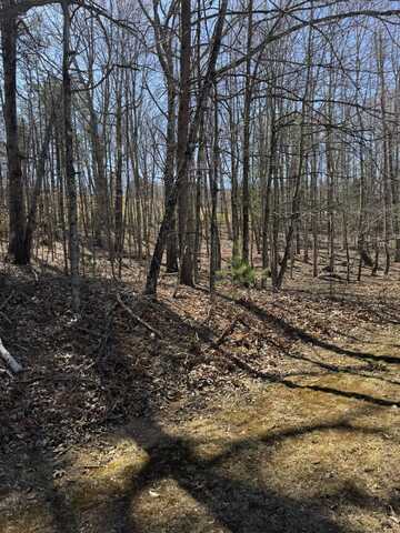 Lot 10A Navajo CIR, Henry, VA 24102