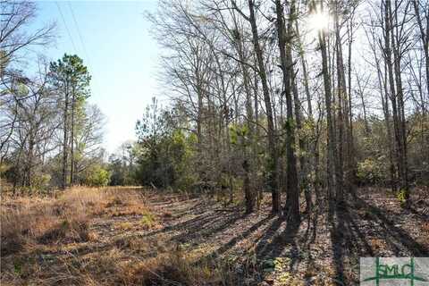0 Clifton Road Road, Statesboro, GA 30458