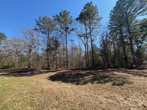 000 Parrish Drive, Metter, GA 30439