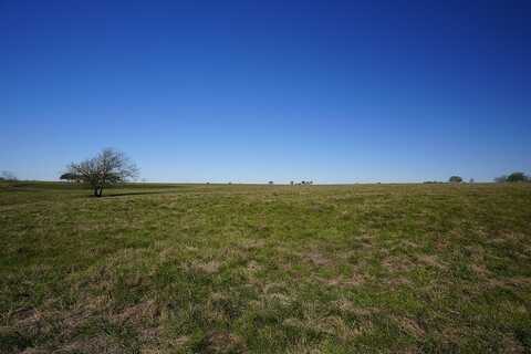 TR 4 Falke-Heinrich Road, Schulenburg, TX 78956