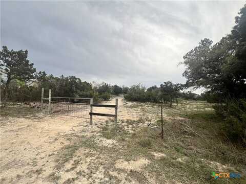 19705 Tyler Trail, Leander, TX 78645