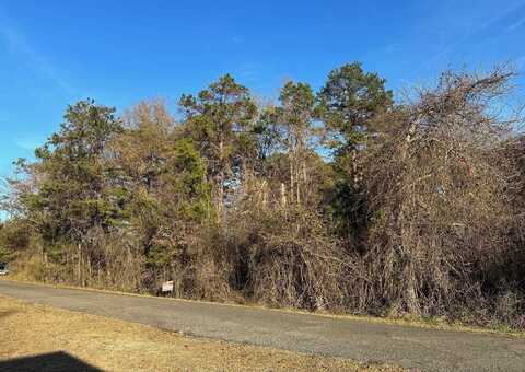 0 Blue Bird Hill, Chesnee, SC 29323
