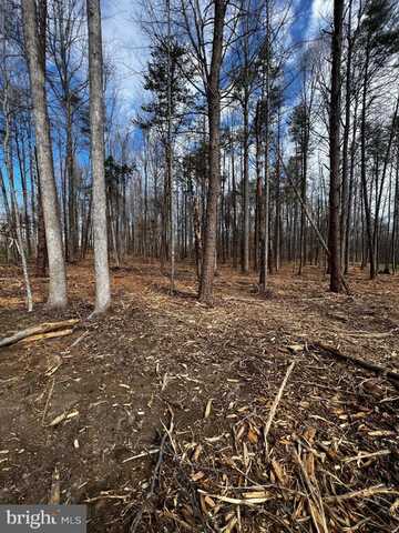 Lot 74 COMPASS COVE, MINERAL, VA 23117