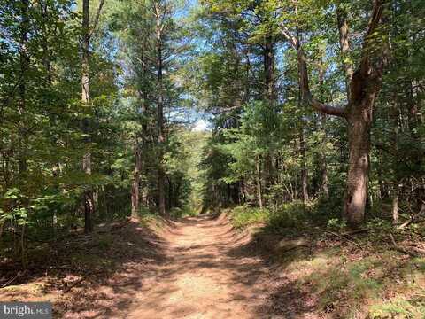 SHEEPSKIN HOLLOW RD, Mc Connellsburg, PA 17233