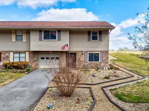 156 Back Nine Drive, Baneberry, TN 37890